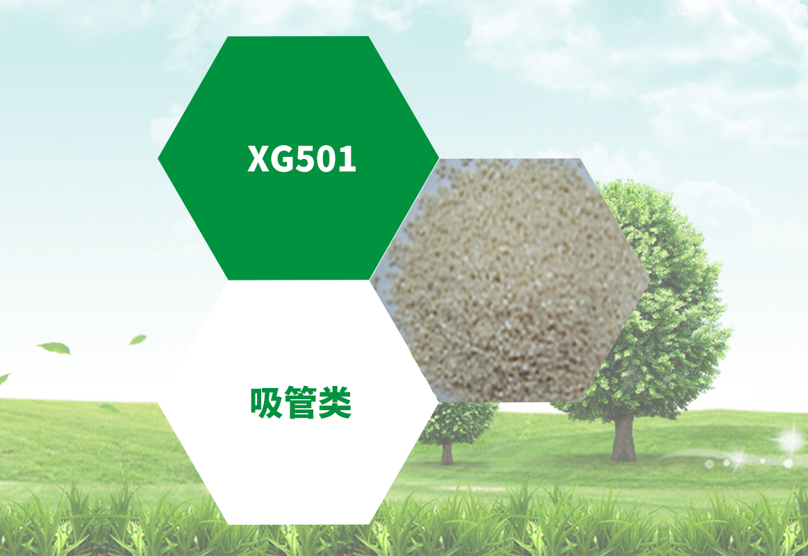  XG501